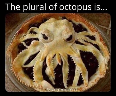 octopus.jpg