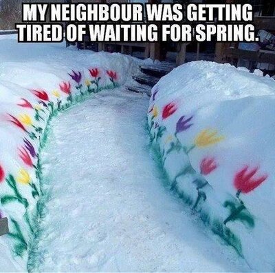 spring.jpg