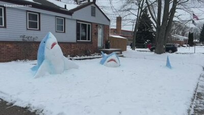 snow sharks.jpg