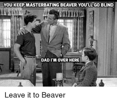 LeaveItToBeaver_DadIamOverHere!.thumb.jpg.725ee91fce78b41dc71b216ecc5a5977.jpg