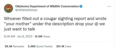 cougar.jpg