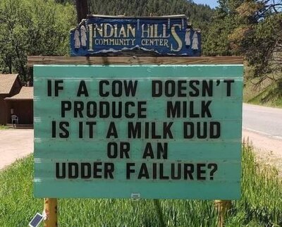 udder.jpg