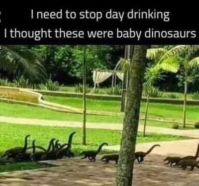 baby dinosaurs.jpg