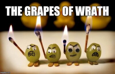 TheGrapesOfWrath!.thumb.jpg.786693ce4064f5baa74a5eb3b6c769a1.jpg