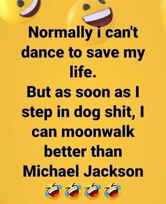 moonwalk.jpg