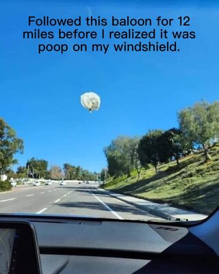 windshield.jpg