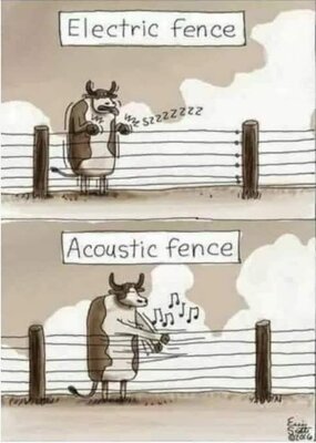 fence.jpg