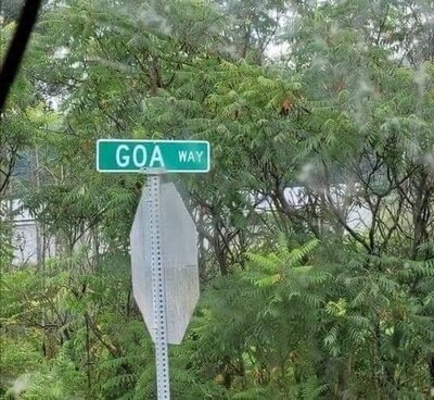 goa.jpg