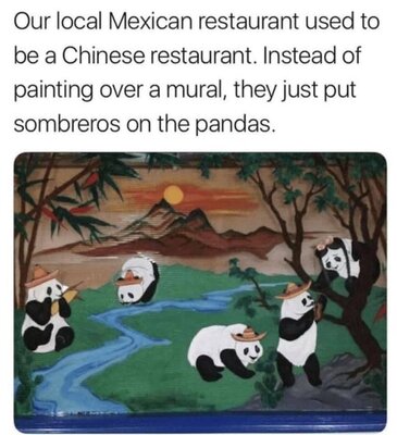 pandas.jpeg