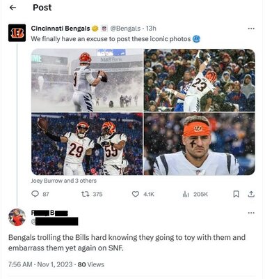 filthy-bengals.jpg