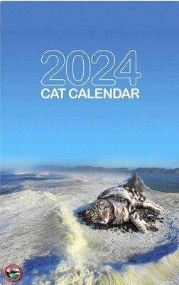 2024USACE_CatCalendarWEB.thumb.jpg.cb309a125d44a70218d04ebb00e64e8e.jpg