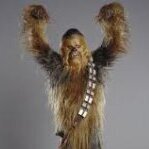 thewookie1