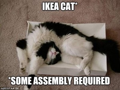 IKEAcat_SomeAssemblyRequired.thumb.jpg.60979b605e513c1100d2fecb8d51fccc.jpg