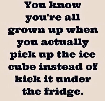 fridge.jpg