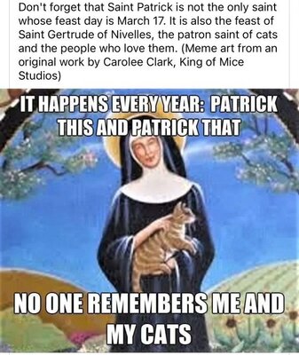 St.GertrudeOfNivelles_Cats.thumb.jpg.a562a7a5f75918b2bd02e483d0bbcfdc.jpg