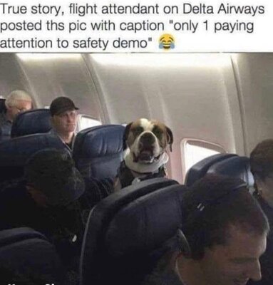 airline.jpg