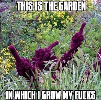 garden.jpg