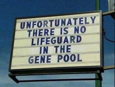 pool.jpg