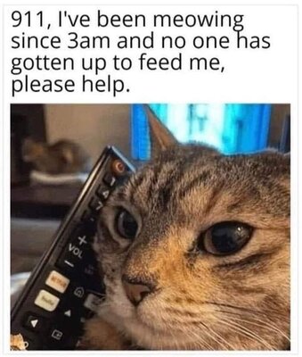 429673459_796180469211398_4657947341095526107_n.jpg