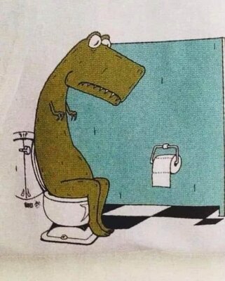 toi.jpg