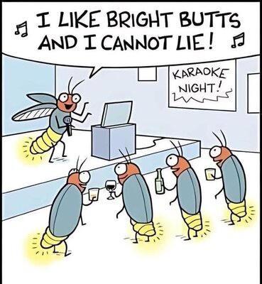 bright.jpg