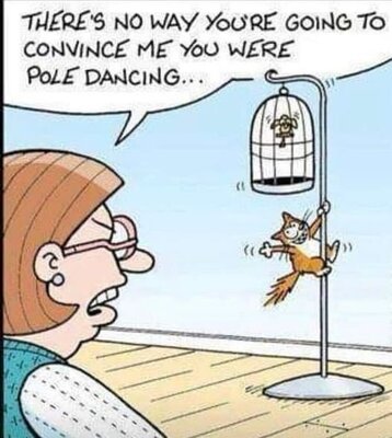 pole.jpg