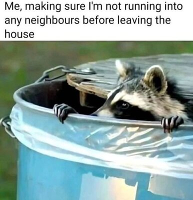 house.jpg