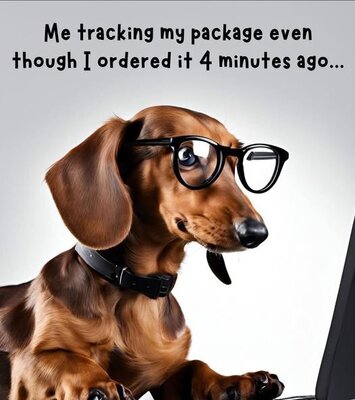 tracking.jpg