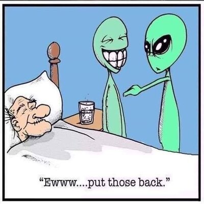 back.jpg