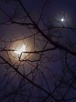 moon.jpg