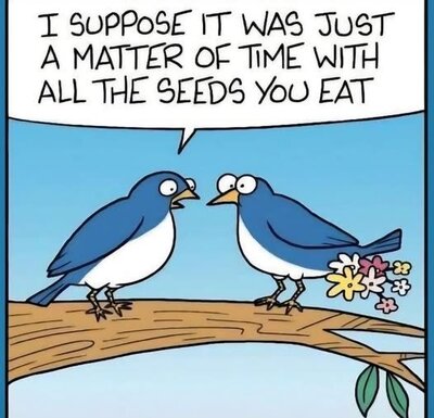 seeds.jpg