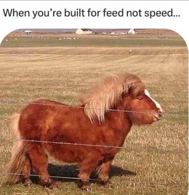 feed.jpg