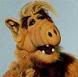 ALF